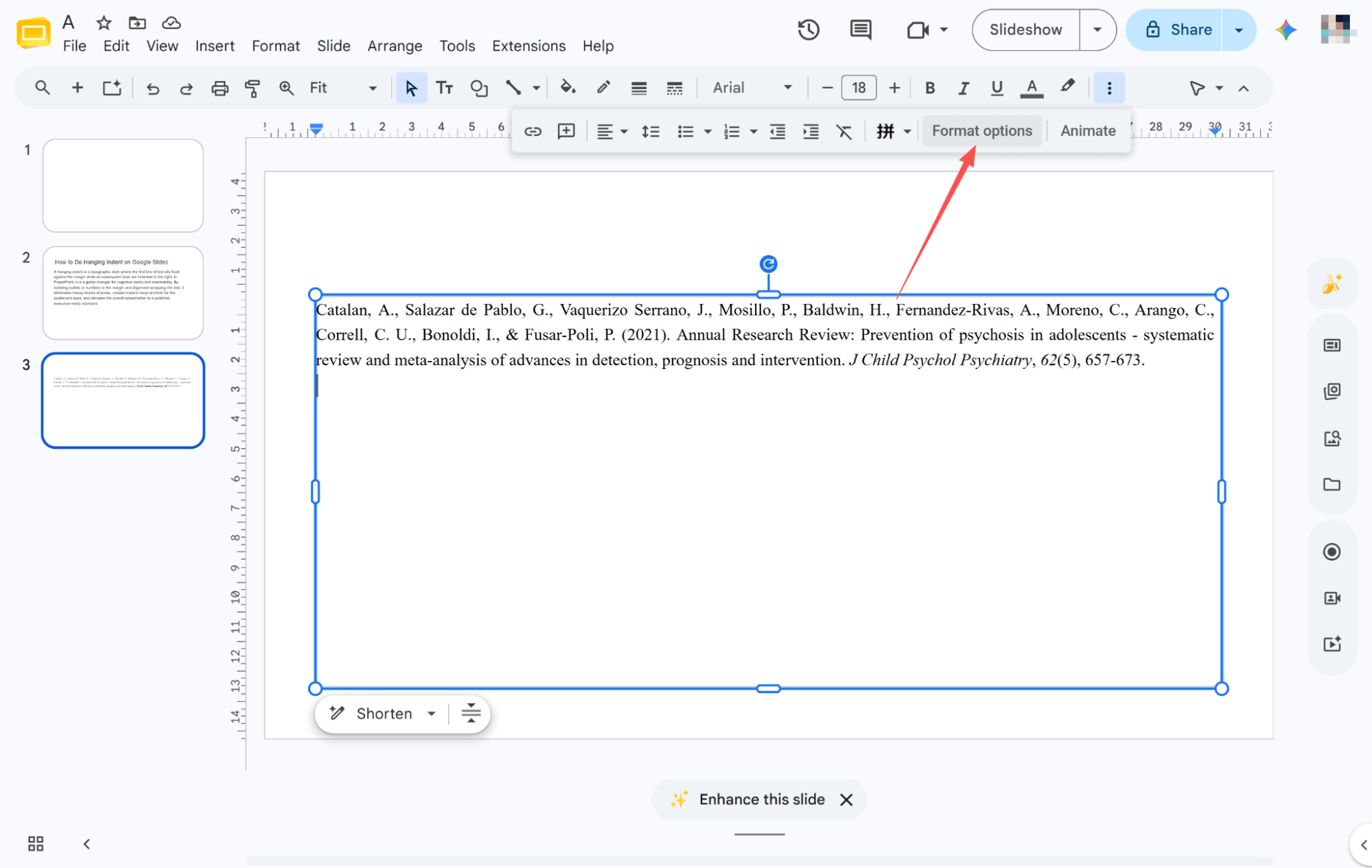 offene Formatoptionen APA